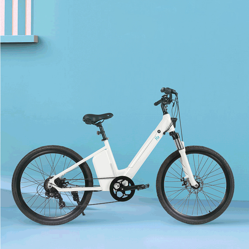 Daypro Fuel Cell Electric e-bike Electrical Bicycle Mountain H2 Green Hydrogen Bike